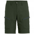 Pánské kraťasy Salewa Puez Dry M Shorts - kombu green