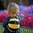 Dětský batoh LittleLife Toddler Bee