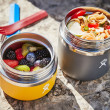 Termoska na jídlo Hydro Flask 20 oz Insulated Food Jar