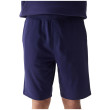 Pánské kraťasy 4F Shorts Cas M284