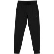 Pánské tepláky 4F Trousers M0943