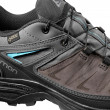 Dámské boty Salomon X Ultra 3 LTR GTX W
