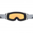 Lyžařské brýle Alpina Double Jack QLite