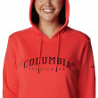 Dámská mikina Columbia Columbia Logo Hoodie