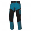 Kalhoty Direct Alpine Mountainer Cargo 1.0 modrá/černá