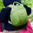 Dětský batoh LittleLife Animal Toddler Turtle