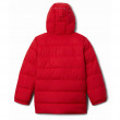 Dětská zimní bunda Columbia Arctic Blast™ Jkt