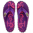 Dětské sandále Gumbies Islander Flip Flop Purple Hibiscus
