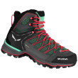 Dámské boty Salewa Ws Mtn Trainer Lite Mid Gtx