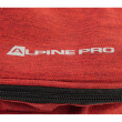 Batoh Alpine Pro Fyzi