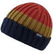 Zimní čepice Regatta Davion Hat V