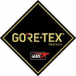 Pánské boty Merrell Accentor Sport GTX