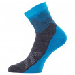 Ponožky Lasting FWS