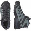 Dámské boty Salomon X Ward Leather Mid Gore-Tex
