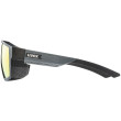 Brýle Uvex MTN STYLE P