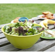 Mísa EcoSouLife Salad Bowl