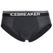 Pánské slipy Icebreaker Mens Anatomica Briefs