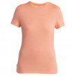 Dámské funkční triko Icebreaker Women Merino 150 Tech Lite III SS Tee