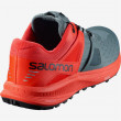 Pánské boty Salomon Ultra /Pro