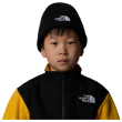 Čepice The North Face Kids Tnf Box Logo Cuffed Beanie