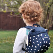 Dětský batoh Littlelife Toddler Backpack Ryba
