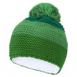 Čepice Husky Hat 4 zelená