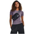 Ledvinka Under Armour Loudon Waist Bag Xbody