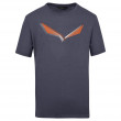 Pánské tričko Salewa Lines Graphic Dry M T-Shirt.