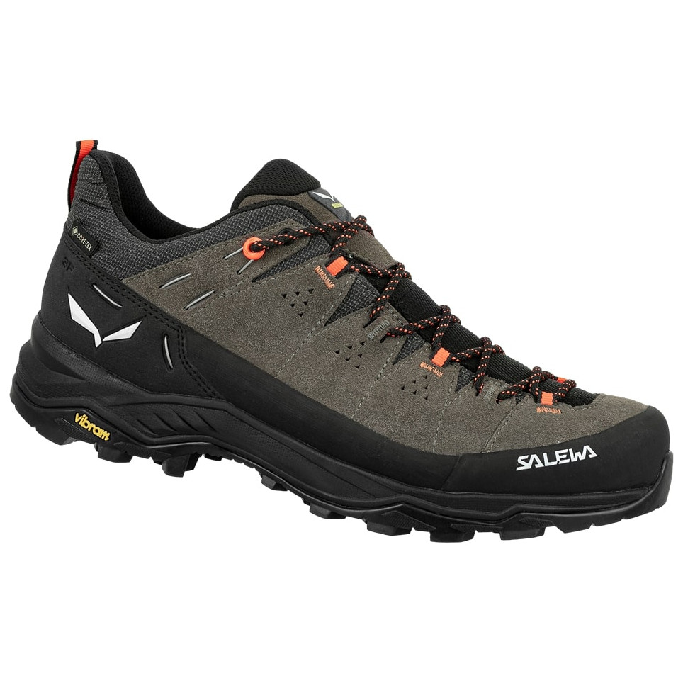 salewa alp trainer 2