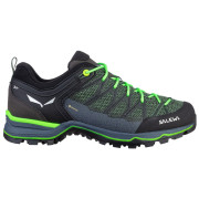 Pánské boty Salewa Ms Mtn Trainer Lite Gtx