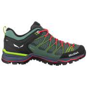 Dámské boty Salewa Ws Mtn Trainer Lite Gtx