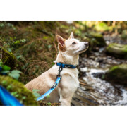 Obojek pro psa Mountain Paws Waterproof Dog Collar