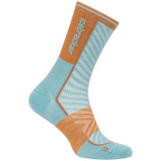 Pánské ponožky Icebreaker Men Merino Run+ Ultralight Mini