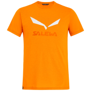 Pánské triko Salewa Solidlogo Dri-Rel M S/S Tee