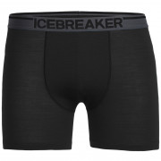 Pánské boxerky Icebreaker Mens Anatomica Boxers-black