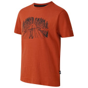 Dětské triko Dare 2b Trailbazer III Tee Arabian Spice