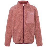 Dětská mikina Regatta Junior Frankie Warm Fleece
