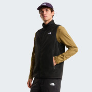 Pánská vesta The North Face M Glacier Fleece Vest