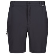 Pánské kraťasy Regatta Travel Light Packaway Shorts