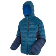 Pánská bunda Regatta Hooded Dalent