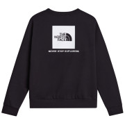 Pánská mikina The North Face M Evolution Box Nse Regular Crew