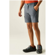 Pánské kraťasy Regatta Xert Stretch Shorts