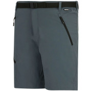 Pánské kraťasy Regatta Xert Stretch Shorts
