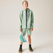 Dětská bunda Dare 2b Kids Switch II Jacket GlacierGreen