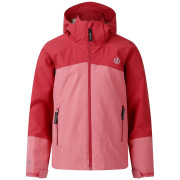 Dětská bunda Dare 2b Explore III Jacket Rpture/Clart