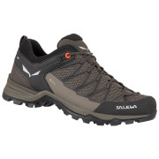 Pánské boty Salewa Ms Mtn Trainer Lite Gtx