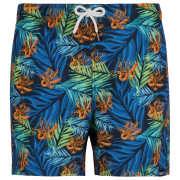 Pánské plavky Regatta Loras Swim Short