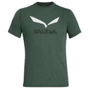 Pánské triko Salewa Solidlogo Dri-Rel M S/S Tee