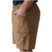 Pánské kraťasy Patagonia Men's Nomader Shorts