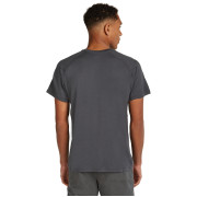 Pánské funkční triko Icebreaker M Mer 200 Waffle Elevation SS Tee